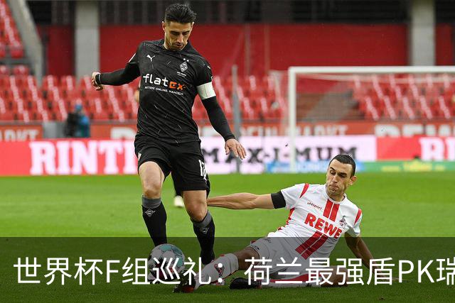 世界杯F组巡礼：荷兰最强盾PK瑞典犀利刀 日本短板明显