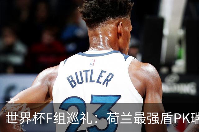 世界杯F组巡礼：荷兰最强盾PK瑞典犀利刀 日本短板明显