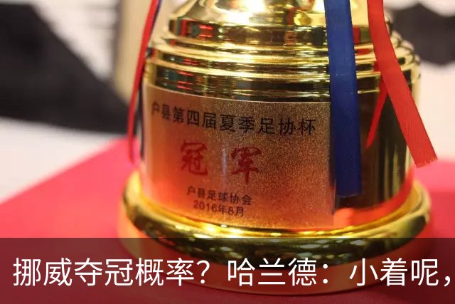 挪威夺冠概率？哈兰德：小着呢，英格兰是热门，你应该给他们压力